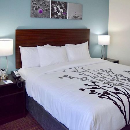 Sleep Inn & Suites Near Westchase Х'юстон Екстер'єр фото