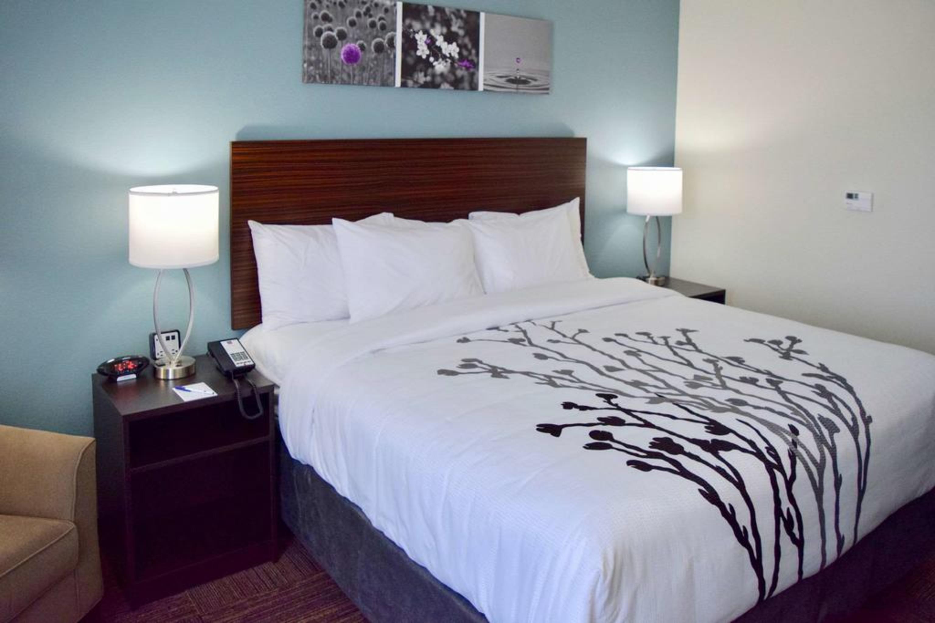 Sleep Inn & Suites Near Westchase Х'юстон Екстер'єр фото